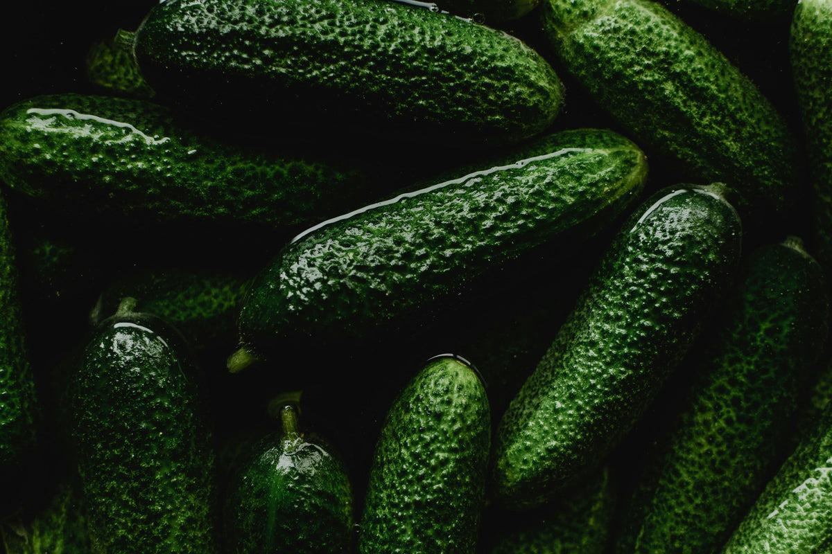 Pickle Pickle PA